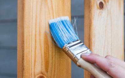 Onze nieuwe website staat online!